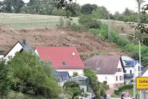 Der Förster hatte Angst, die Bäume könnten auf die Häuser fallen.