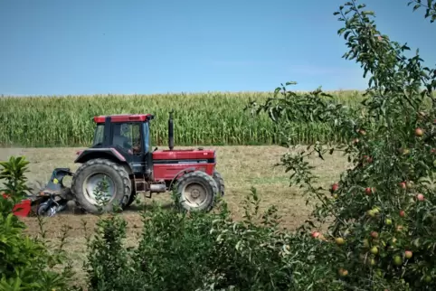 Steffen Sewohl aus Battweiler bereitet sein Feld für die spätere Aussaat von Weizen vor.