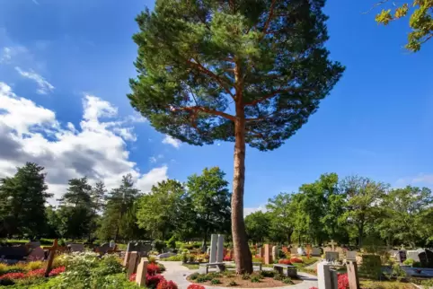 So wie hier in Schifferstadt kann ein Memoriam-Garten gestaltet werden. 