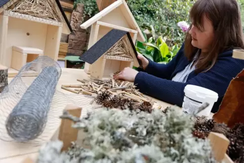 Hat in ihrem Repertoire auch Bausätze für Insektenhotels: Sandra Müller, die in ihrem Laden in Winnweiler unter anderem zertifiz