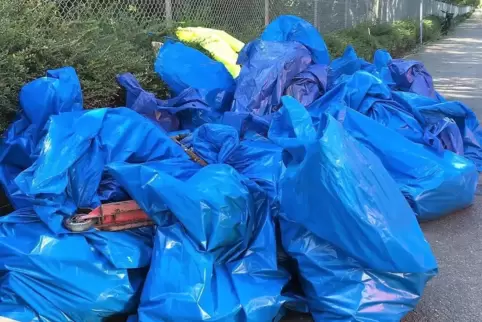 Im vergangenen Jahr sammelten die freiwilligen Helfer rund 250 Kilogramm Müll entlang des Rheins.