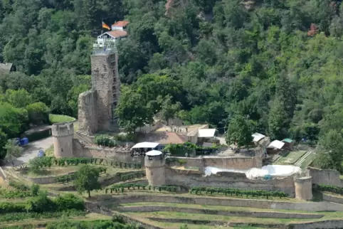 Der Vorfall ereignete sich oberhalb der Wachtenburg. 