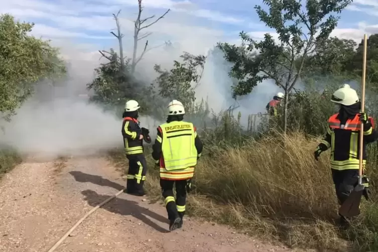 Die Feuerwehr Büchelberg ist im Löschen von Flächenbränden geübt. Das Foto entstand im Juli dieses Jahres. 