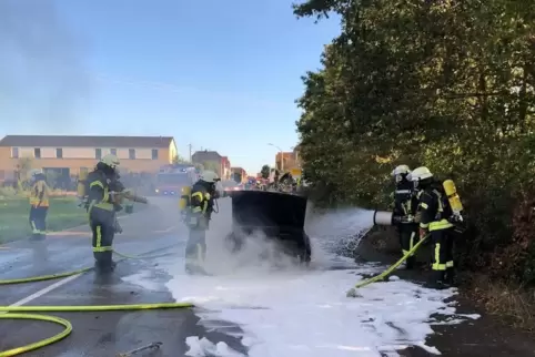 Die Feuerwehren aus Lingenfeld und Westheim waren im Einsatz.