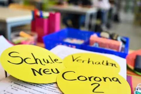 Ein Corona-Expertenteam hat die Infektionsentwicklung in Schulen und Kitas in Rheinland-Pfalz positiv bewertet. 