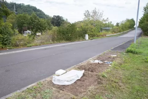 Links ist die A 8 zwischen Schwarzenacker und Wörschweiler zu erkennen. Die Container sind weg, neuer Müll wurde abgelegt.
