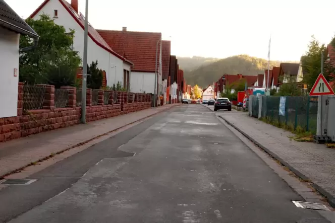 Gegen das Votum der Anwohner hat sich der Rat für Pflanzkästen in der Straße In den Birken ausgesprochen.