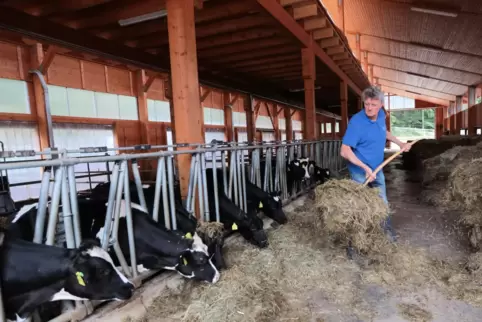 Richard Danner, Leiter des Kleinsägmühlerhofs in Altleiningen, muss seine Rinder schon seit Wochen mit Heu und Silage füttern, d