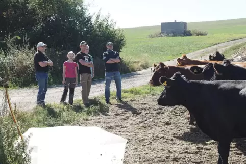 Metzgermeister Heinrich Grim (rechts) begutachtet die deutschen Angusrinder bei Bauer Jürgen Buß (Mitte) vom Offweilerhof. 