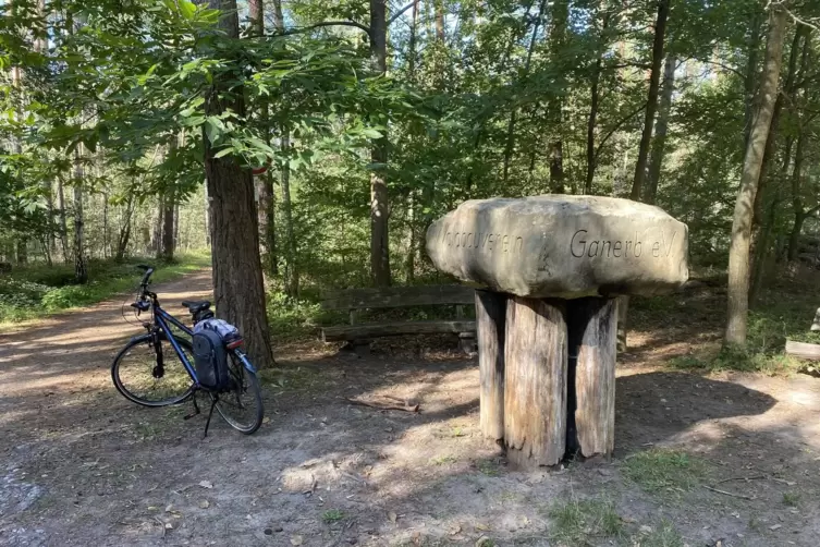 Durch den Wald: zwischen Dudenhofen und Hanhofen.