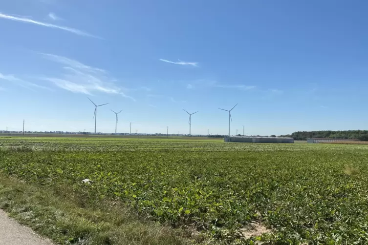 Gem&uuml;sefelder und Windr&auml;der: bei Harthausen.