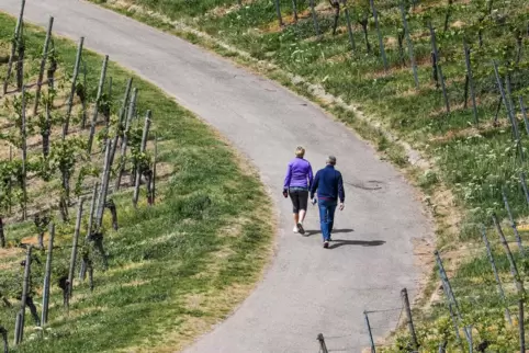 Oase für Touristen: Weinberge laden zum Wandern ein. 