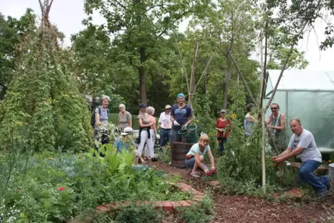 Seit April 2015 trainiert die „Gemeinsam-Gärtnern-Gruppe“ jeden Dienstag zwischen 14 und 16 Uhr den grünen Daumen.