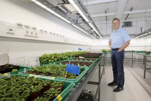 Ekkehard Neuhaus in der Klimakammer des Fachbereichs Biologie.