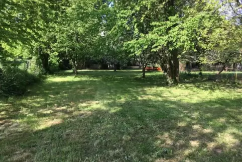 Auf diesem Grundstück soll ein Spielplatz für die Kindergartenkinder entstehen. 