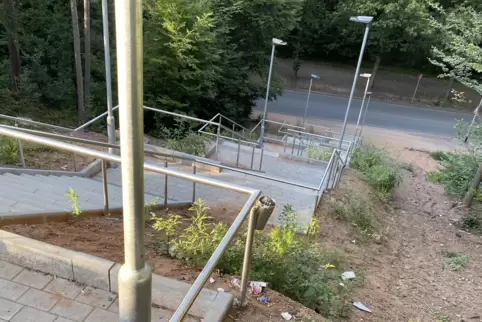 „Die zwei Dosen an der Treppe, die als Papierkorbersatz dienen, laufen seit Wochen über“, berichtet ein RHEINPAFLZ-Leser.