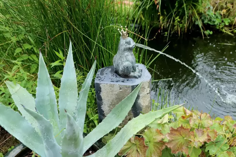 Den Teich &uuml;berl&auml;sst Familie Ernts weitgehend sich selbst.