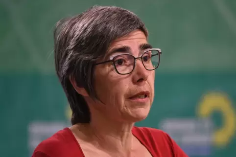Die Grünen-Europaabgeordnete Jutta Paulus aus Neustadt sieht in der bisher gültigen Regelung einen „Taschenspielertrick“. 