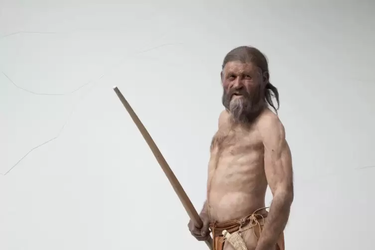 Mittelgroß, schmächtig, aber sehnig: die 2011 gefertigte Rekonstruktion von „Ötzi“.