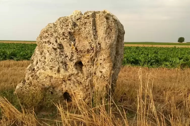 Der Menhir bei Einselthum im Zellertal, einer der wenigen, bei dem eine Ausgrabung Befunde erbracht hat. Das Bild ist im &Uuml;brigen