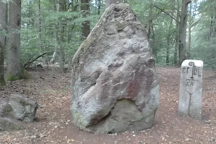 Der Hinkelstein bei Otterberg, wie gesagt: mitten im Wald. Drum herum: Gemarkungssteine aus dem Mittelalter. 