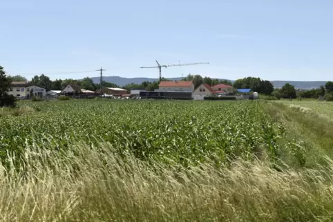 Hier möchte die Ortsgemeinde Lambsheim weitere Gewerbeflächen ausweisen.