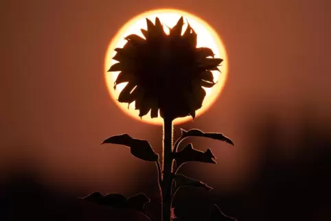 Ein paar Tag Spätsommer kommen (hoffentlich) noch.