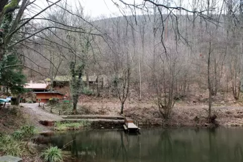 Der Hilschweiher im Edenkobener Tal.