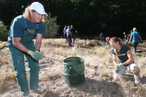 Freiwillig in den Dünen: Bernd und Sabine Wießner helfen mit, den Sandboden freizulegen.