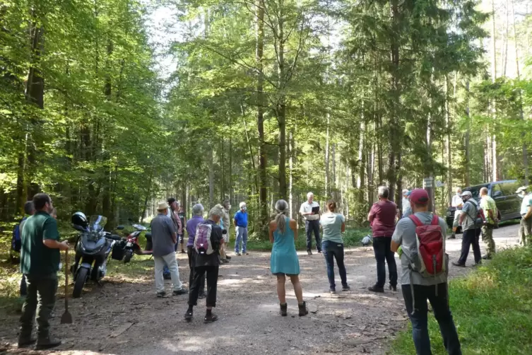 Knapp 30 Interessierte nahmen am Samstag an der Wald-Klima-Exkursion teil, zu der das Forstamt Wasgau eingeladen hat. 