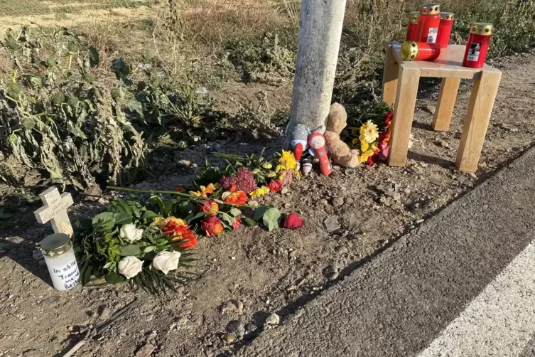 An der Unfallstelle wurden Blumen, Kerzen und Kuscheltiere abgelegt. 