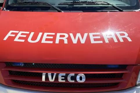 Ein Übergreifen des Wiesenbrandes auf den Wald hat die Feuerwehr verhindert.