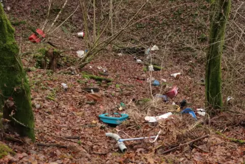 Illegale Müllentsorgung in Battweiler. 