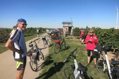 Pause in den Weinbergen: 60 bis 80 Kilometer stehen bei jeder Tour der Mittwochsradler auf dem Programm.