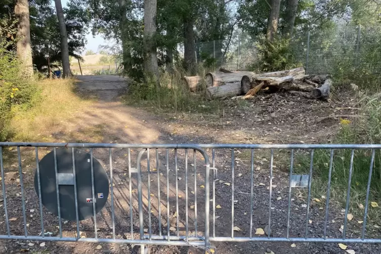 Hier endet der gesperrte Spazierweg der Gemeinde. Hinter den Baumst&auml;mmen befindet sich der neue Zaun der Firma Willersinn. 