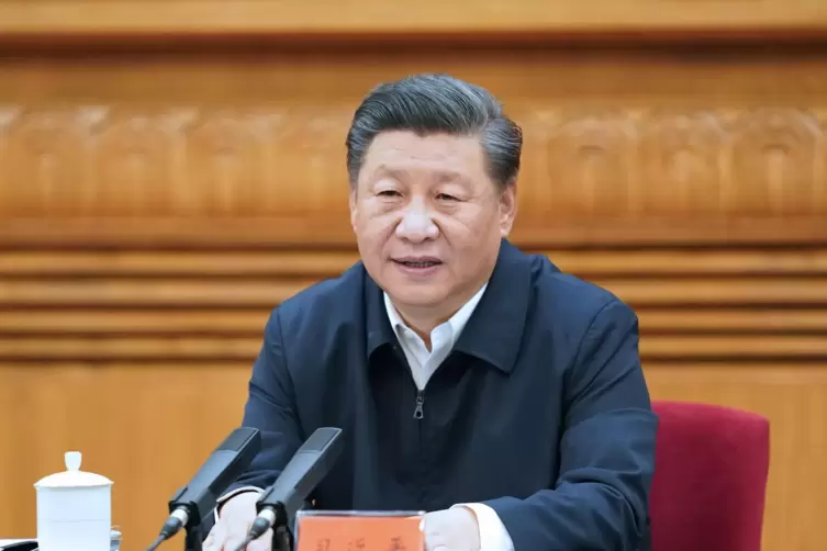 Konkrete Maßnahmen blieb Staatspräsident Xi Jinping schuldig.