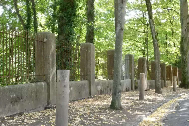 In der Strobelallee wurden Holzpoller zwischen den Bäumen eingesetzt, um Autofahrer am Parken zu hindern. 