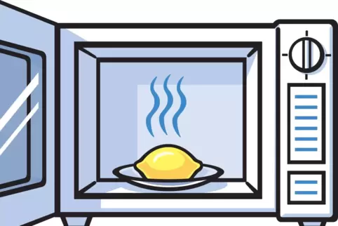 In der Mikrowelle lassen sich Lebensmittel einfach und schnell auftauen, erwärmen oder erhitzen. Allerdings gibt es einige Nahru