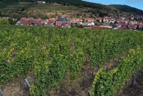 Der größte Teil der Pfälzer Weinberge ist bereits abgeerntet. Hier ein Blick über einen Wingert bei St. Martin im Kreis Südliche