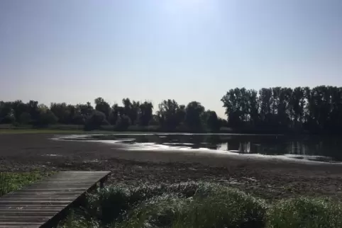 Offenbar kein Grund zur Sorge: Dem Roxheimer Altrhein fehlt Wasser.