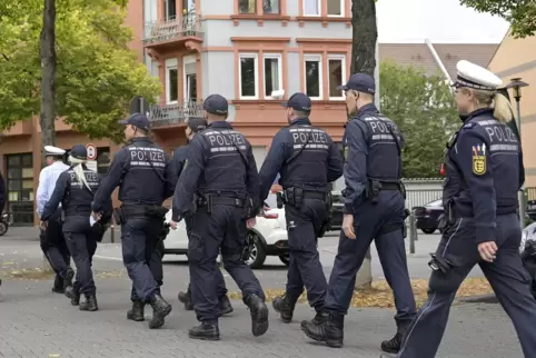 430 Einsatzkräfte kontrollierten innerhalb von 24 Stunden Personen, Lastwagen und Gaststätten. 