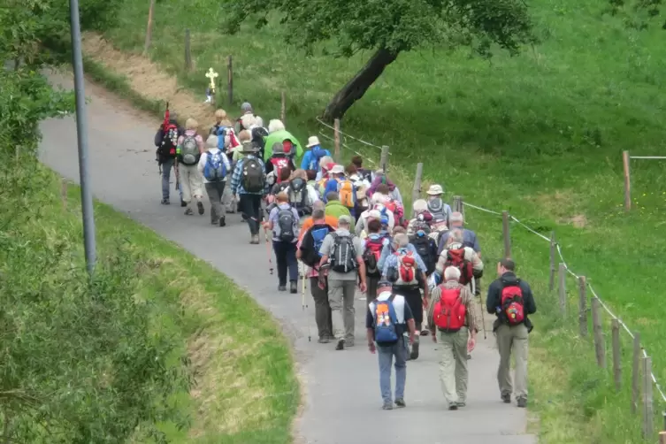 Machen sich alljährlich auf dem Weg nach Walldürn im Odenwald: Wallfahrer aus Bobenheim-Roxheim (Rhein-Pfalz-Kreis). 
