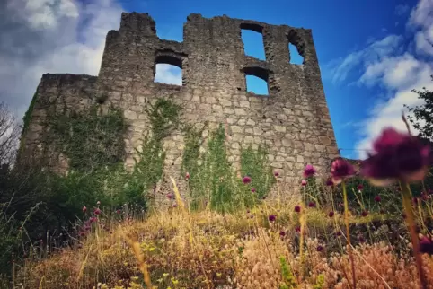 Die Burgruine Falkenstein.