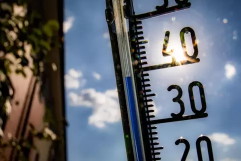 Mit 15,8 Grad lag der September in Rheinland-Pfalz im Schnitt 2,3 Grad über dem vieljährigen Mittelwert. 