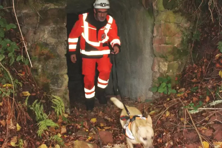 Karlheinz Gutzler durchsucht mit seinem Rettungshund Schnecke, einem zehnjährigen Terrier-Mix, einen Schlettenbacher Westwallsto