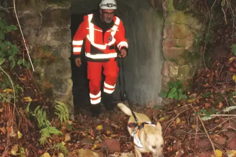 Karlheinz Gutzler durchsucht mit seinem Rettungshund Schnecke, einem zehnjährigen Terrier-Mix, einen Schlettenbacher Westwallsto
