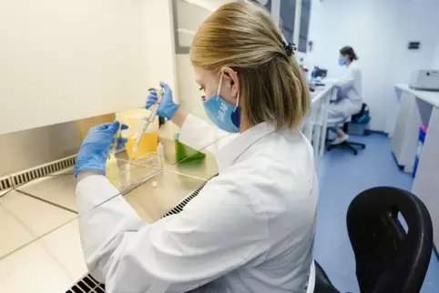 Coronavirus-Test in einer mobilen Teststation.