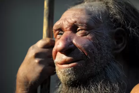 Eine Neandertaler-Nachbildung in einem Museum in Mettmann. 