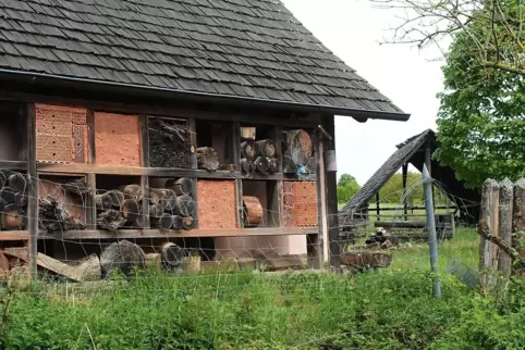 Wir der Keltengarten schon bald wieder für die Besucher geöffnet?