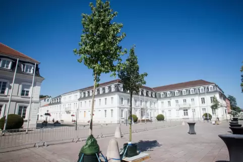 Die Wanderbäume – hier im August auf dem Herzogplatz – kriegen jetzt ihren festen Platz am Helmholtz-Gymnasium.